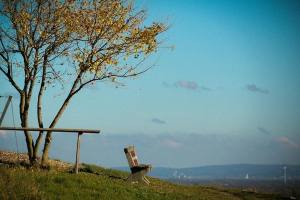 La naturopathie et l'harmonisation corporelle : une alliance naturelle